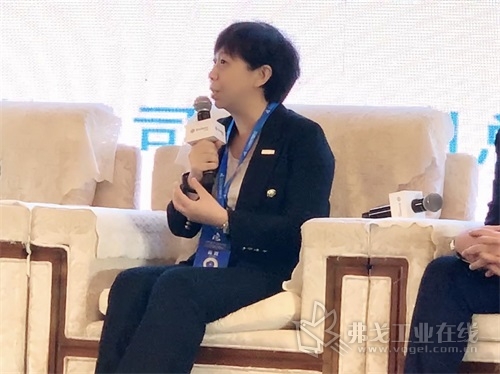 埃克森美孚(中国)投资有限公司总经理兼董事曾红卫女士在峰会上参与讨论